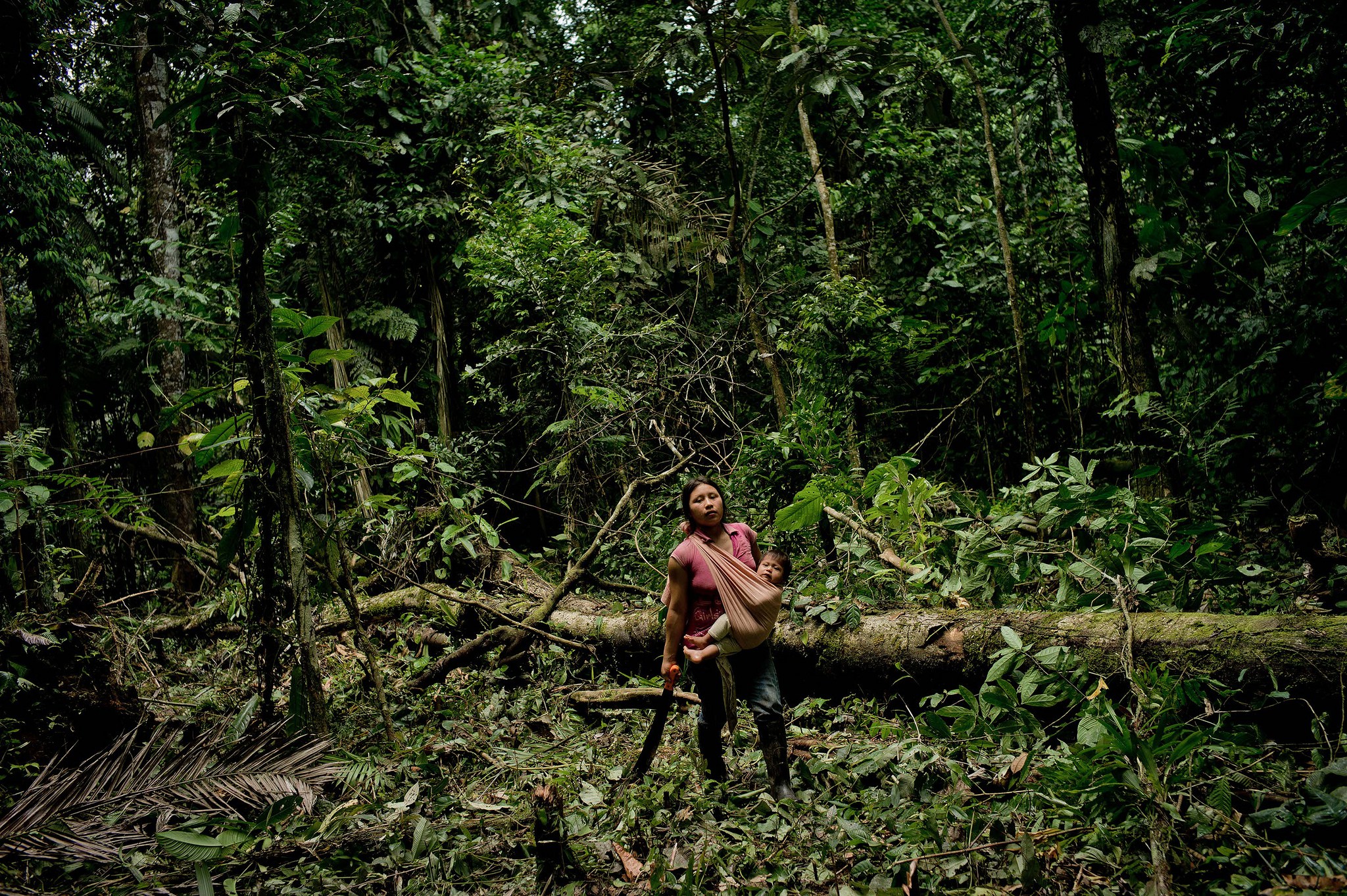 Photo: Tomas Munita/CIFOR